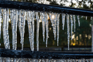 Ice on a Florida paddock fence