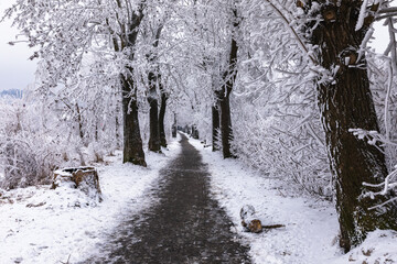 Zimowa ścieżka © Katarzyna