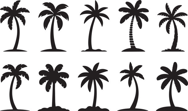 Collection of diverse palm tree silhouettes