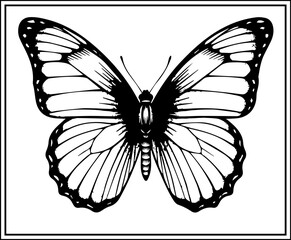 Intricate butterfly illustration with detailed stippling and dot work, vintage scientific drawing style for natural history and art projects. © Vectors Studio
