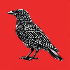 Fototapeta premium Web