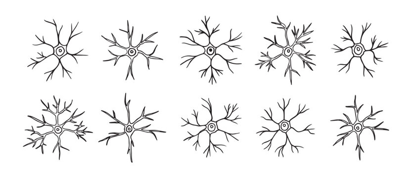 neurons or neuron cells doodle hand drawn icon set. Outline pyramidal neurons drawing line clipart symbol collection