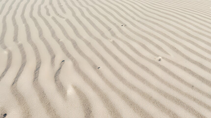 Obraz premium Wind-shaped sand texture minimal nature background