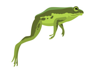 Fototapeta premium Frog jumping animation icon. Sequences or footage for motion design. Cartoon toad jumping, animal movement concept. Frog leap sequence, vector illustration