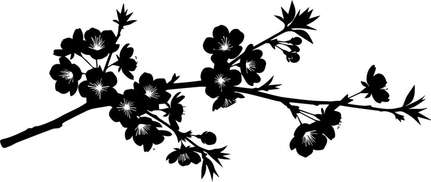 Elegant cherry blossom branch silhouette, perfect for spring designs, wedding invitations, or delicate botanical illustrations. Timeless floral beauty!