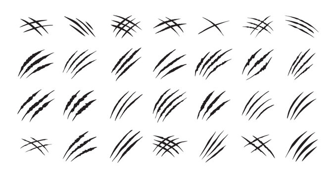 Claw scratches isolated. Black Bear tiger claws trails, animal scratched white paper. Flat scratch marks, racy wild beast tracks clipart