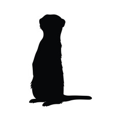 Meerkat silhouette icon vector flat design.