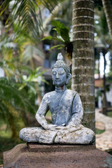 Obraz premium statue of buddha
