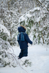 Little boy walking and playing in snowy winter forest. Natural childhood, winter season, outdoor lifestyle, family leisure, exploration and connection with nature.
