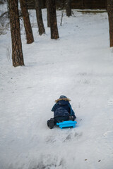 Little boy enjoying winter outdoor fun while sledding in snowy forest. Active childhood, seasonal outdoor recreation, winter adventure, family leisure and healthy lifestyle concept