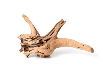 Fototapeta premium Driftwood Sculpture
