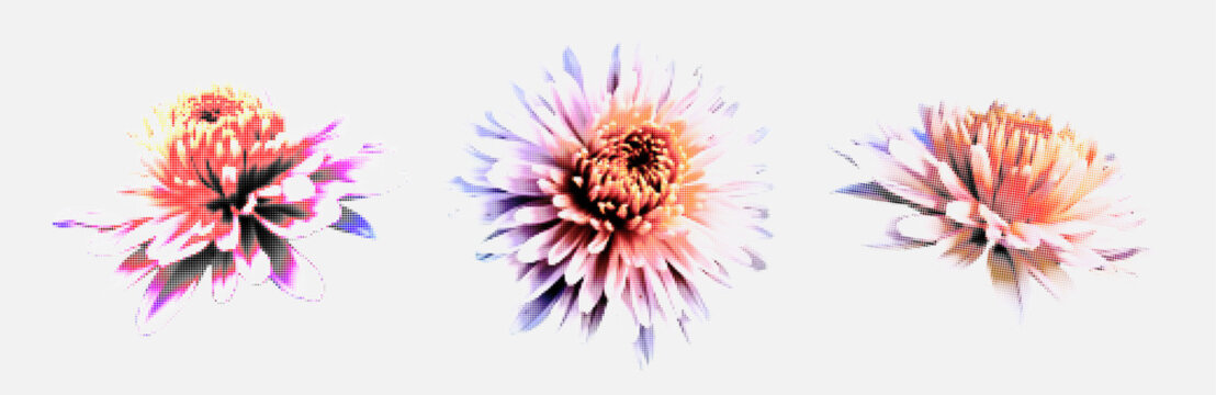Set of blooming flowers with colorful CMYK halftone dot texture. Vector floral elements with retro pop art print effect and grainy lo-fi aesthetic. Creative botanical silhouettes isolated on white.