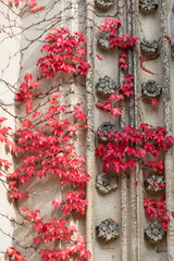 Church Wachau, Germany, Leipzig