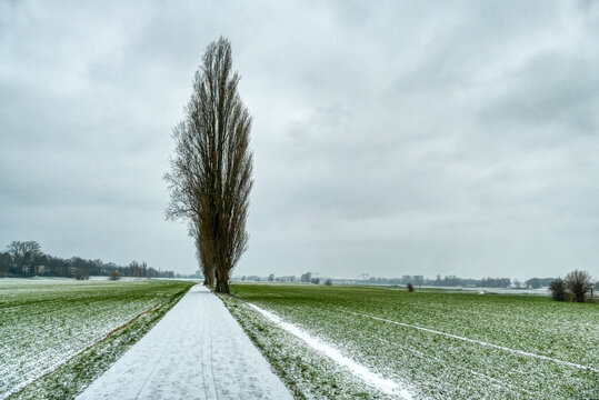 Verschneite Winterlandschaft am Rhein in Kaiserswerth