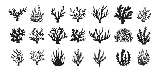 Coral silhouettes, seaweed black icon. Abstract organic corals shape, underwater plant, sea doodle. Cartoon marine floral isolated set  © Yanka