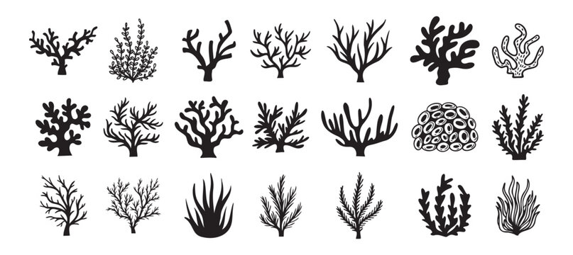 Coral silhouettes, seaweed black icon. Abstract organic corals shape, underwater plant, sea doodle. Cartoon marine floral isolated set 