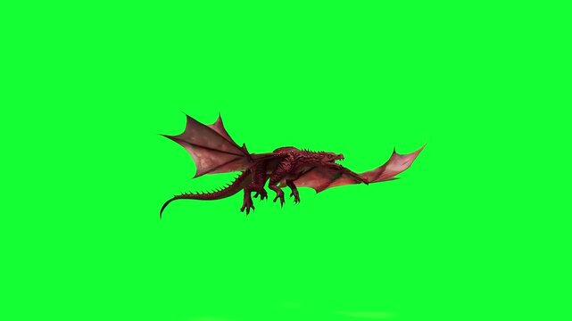Animated fantasy dragon flying forward with wide spread wings, isolated on a solid green chroma key background. Suitable for fantasy games, cinematic effects, motion graphics, and visual compositing.