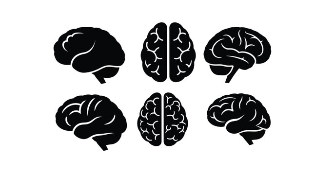 Four black brain depictions with unique perspectives a striking silhouette