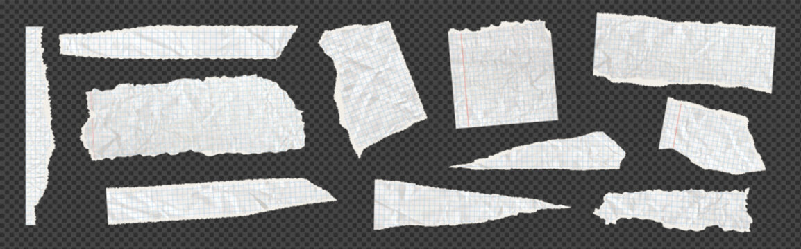 Torn ripped notebook papers, Cut sheets with square grid, cutout collage piece. Realistic blank gridded white cardboard. Vector illustration of different scraps set, calligraphy paper sheet border