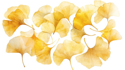Naklejka premium Delicate golden ginkgo biloba leaves arranged as an elegant branch, isolated on black background, botanical illustration style, airy and minimalist.