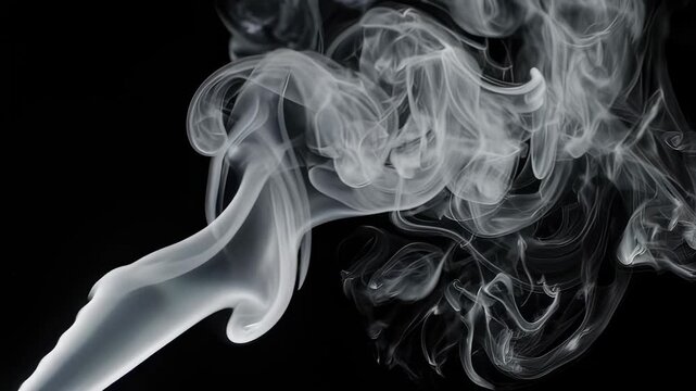 White wisps of smoke curl and flow against a black background, creating an abstract display