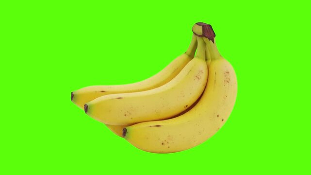 Ripe Yellow Bananas Bunch Rotating on Green Screen for Compositing