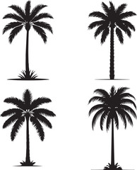 Palm tree silhouette set nature vector isolated on white background 