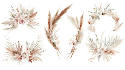Obraz premium Delicate watercolor botanical elements: wreaths, pampas grass, leaves, and floral sprigs in soft beige, blush, and sage tones on transparent background