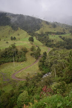 Valle del cocora, Latam, Latinoamerica, Kolumbien, 