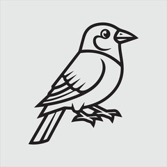 Beautiful bird vector design