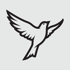 Beautiful bird vector design