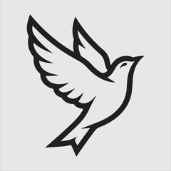 Beautiful bird vector design