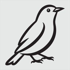 Beautiful bird vector design