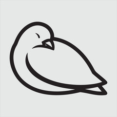 Beautiful bird vector design