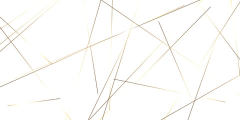 Obraz premium Abstract background with lines. Golden lines on White paper. Line wavy abstract vector technology line pattern background.