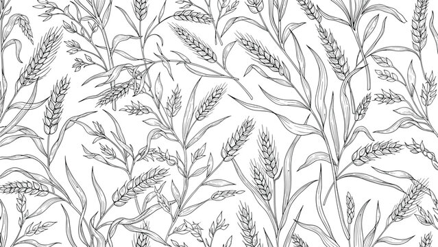 Detailed hand drawn sketch of wheat ears and stalks creating organic cereal pattern for bakery or agricultural business themes.