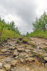 Rugged Rocky Path Up the Mountain Hill