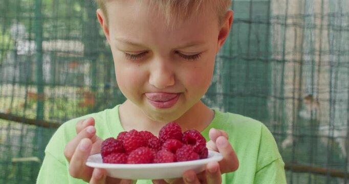 Young boy in green t-shirt holds plate of raspberries licking lips with grin. Child studies berry pile gripping plate with hands before selecting ripe fruit slow motion