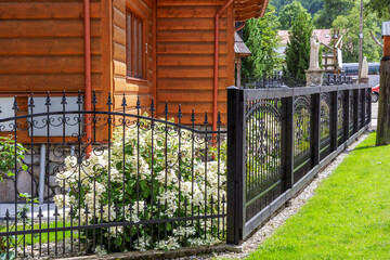 Decorative Wrought Iron Fence and Garden Hydrangea