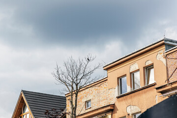 Obraz premium Old Urban Building Facade and Bare Tree under Cloudy Sky