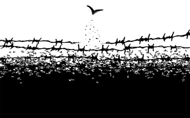 concept freedom, flight, breaking barriers, liberation, victory. barbed wire breaks and turns into a bird. Addiction Recovery Dispersion black and white effect.	