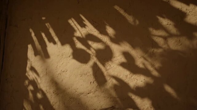 Sunlight casts intriguing shadows of leaves upon a textured wall, creating an elegant dance of light and darkness.