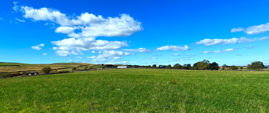 &ldquo;A green field stretches toward the distant moors, dotted with farm buildings beneath a clear blue sky. Soft white clouds heighten the sense of openness and calm in Ilkley, Yorkshire, UK.&rdquo;