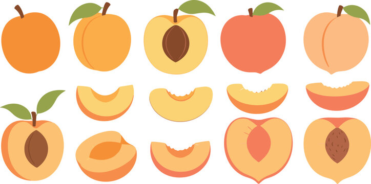 Peach Fruit Illustration Set Showing Whole Halved and Sliced Peaches with Seeds and Leaves for Fresh Summer Nutrition and Organic Food Design