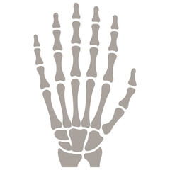 Human Skeleton Hand Vector Illustration - Spooky Halloween Bone Gesture for Rock Music, Anatomy, and Horror Design.
