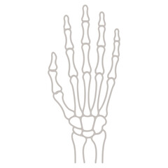 Human Skeleton Hand Vector Illustration - Spooky Halloween Bone Gesture for Rock Music, Anatomy, and Horror Design.