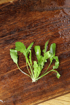 Fresh Wild Chestnut Leaves on Rustic Wood Surface