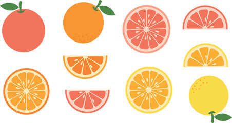 Obraz premium Citrus Fruit Illustration Set Featuring Orange Lemon and Grapefruit Whole and Sliced Pieces for Fresh Healthy Nutrition Organic Food and Summer Design Concepts