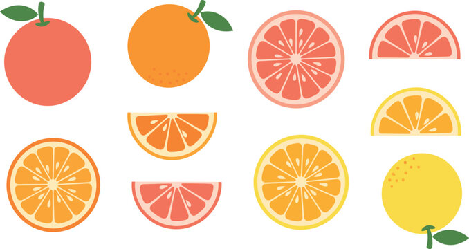 Citrus Fruit Illustration Set Featuring Orange Lemon and Grapefruit Whole and Sliced Pieces for Fresh Healthy Nutrition Organic Food and Summer Design Concepts