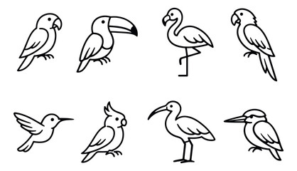 Fototapeta premium Minimalist line art tropical bird set featuring exotic species for nature and wildlife designs